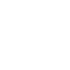 NYspins logo icon